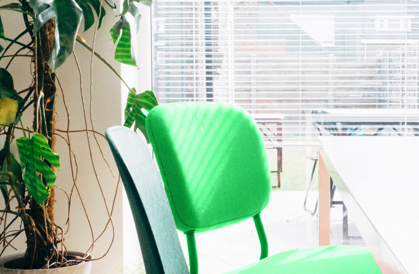 Image Chicago - Localfinder X Webflow Template