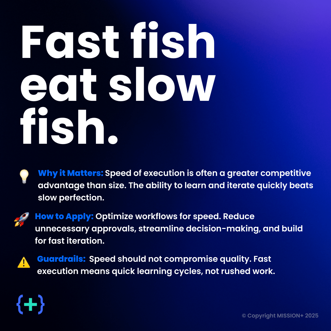 MISSION+ principle card: fast fish eat slow fish, on speed of execution as a competitive advantage