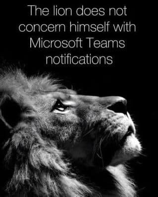 Meme of a lion gazing upward, captioned: The lion does not concern himself with Microsoft Teams notifications