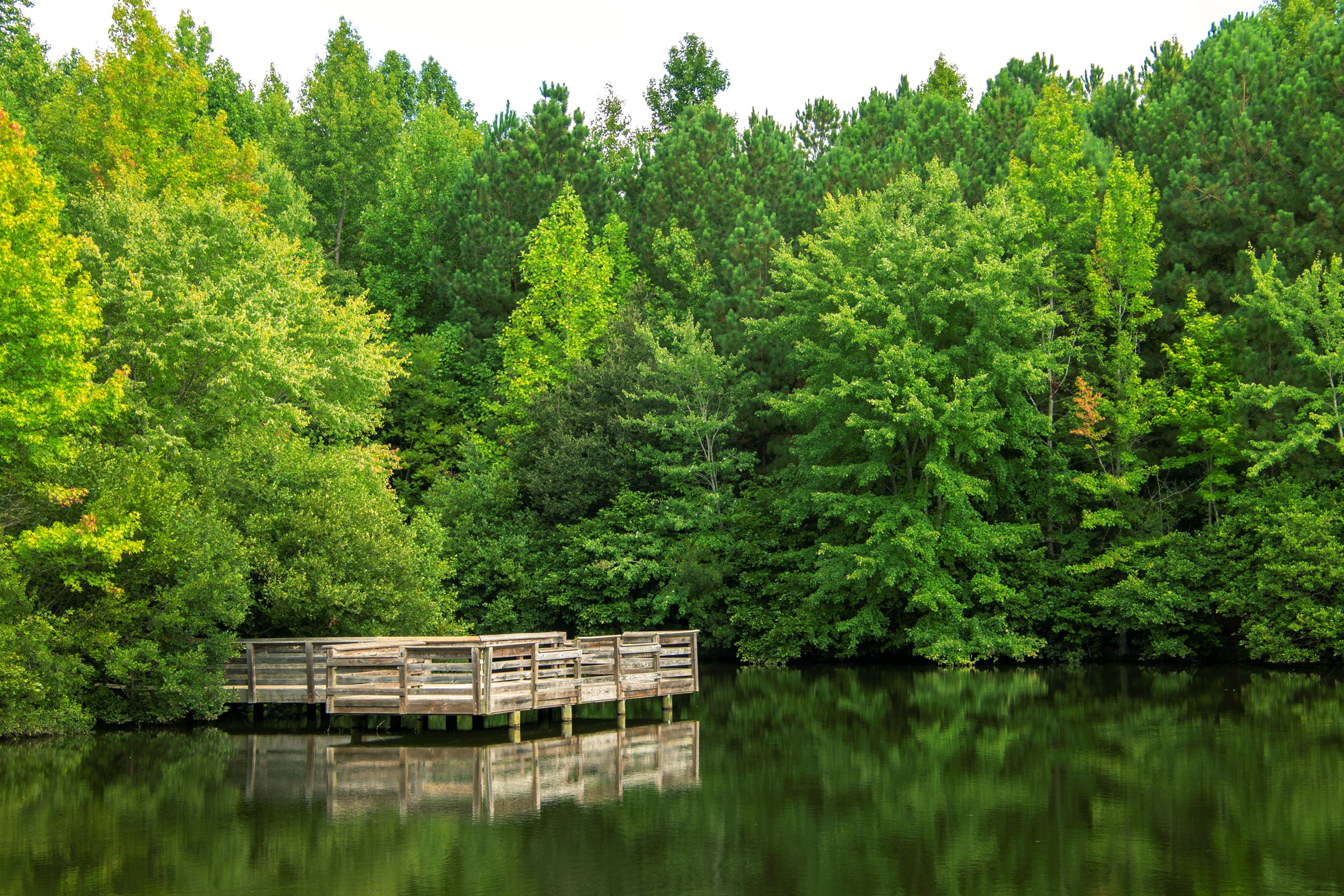 [background image] image of driving route (for a food truck)