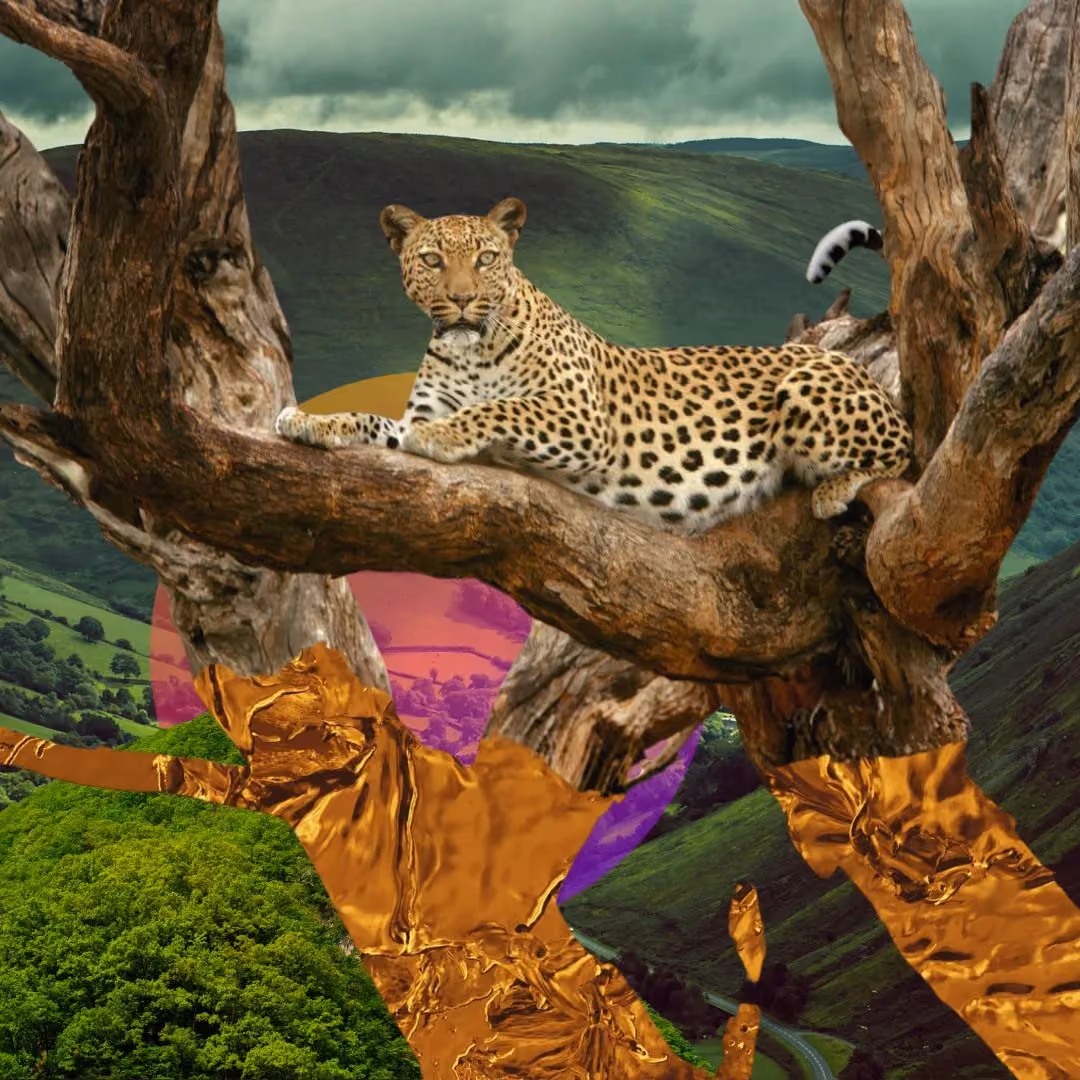 Leopard resting on a tree branch over a green valley with artistic golden and colored overlays.