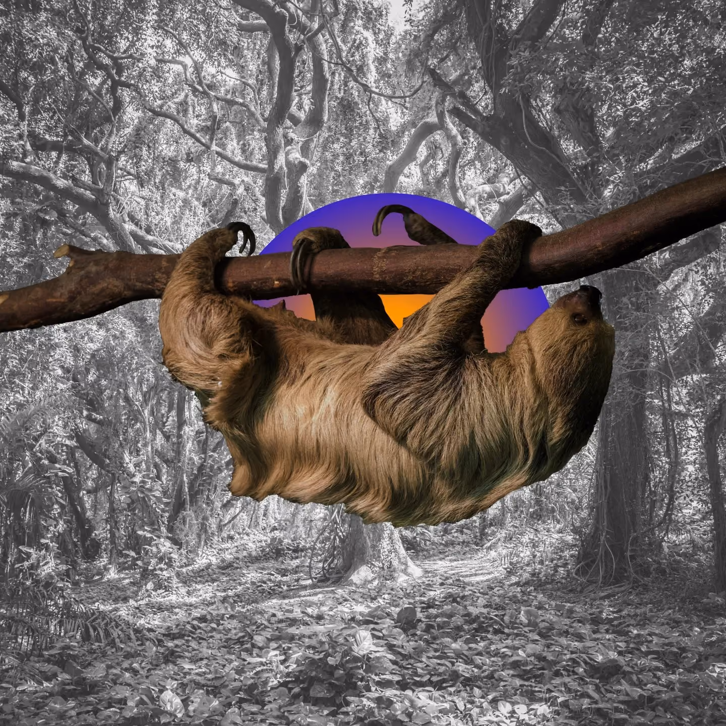 Brown sloth hanging from a tree branch with a colorful sunset circle in a black and white forest.