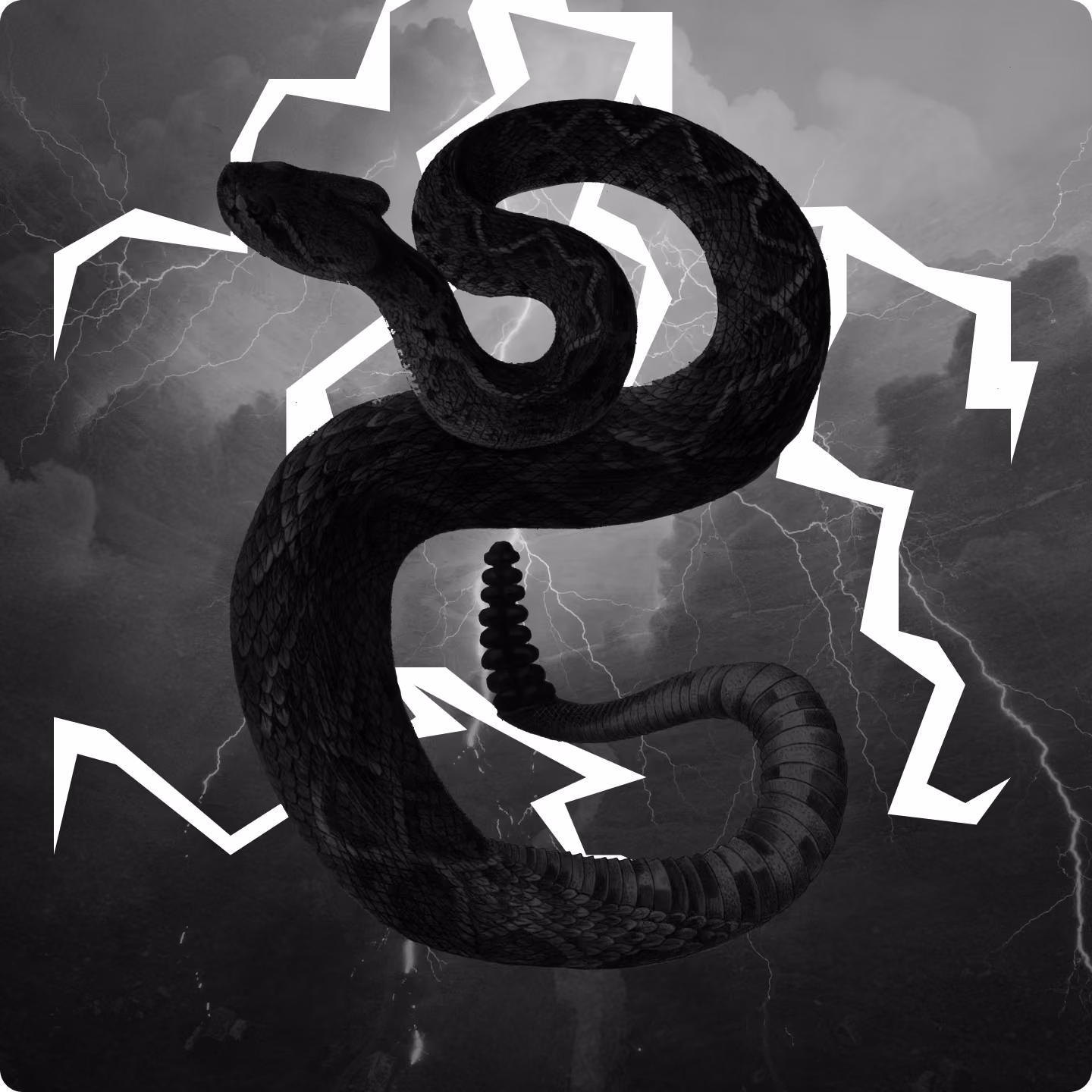 Black snake coiled with white lightning bolts on a stormy cloudy background.