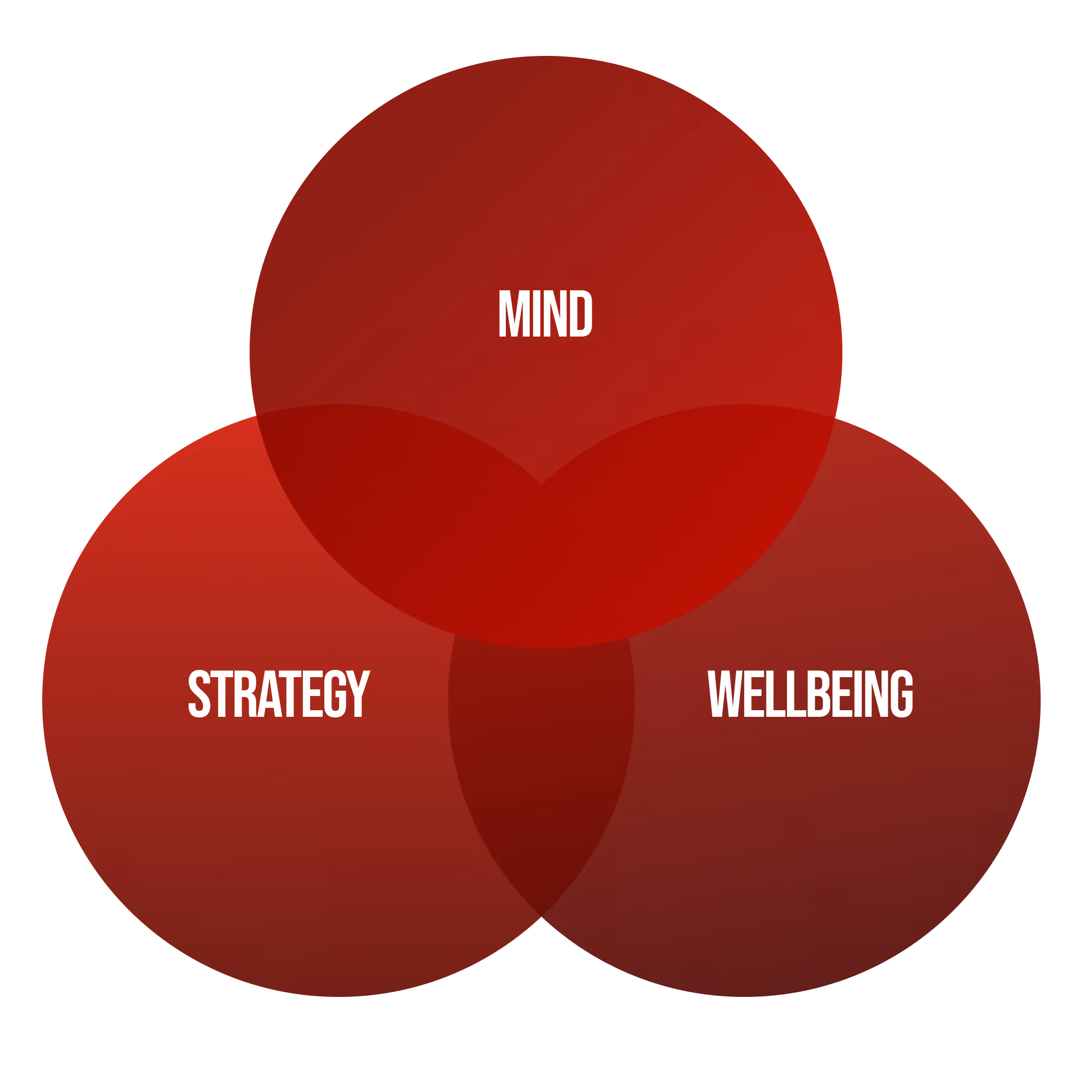 Three overlapping red circles labeled Mind, Strategy, and Wellbeing in a Venn diagram layout.