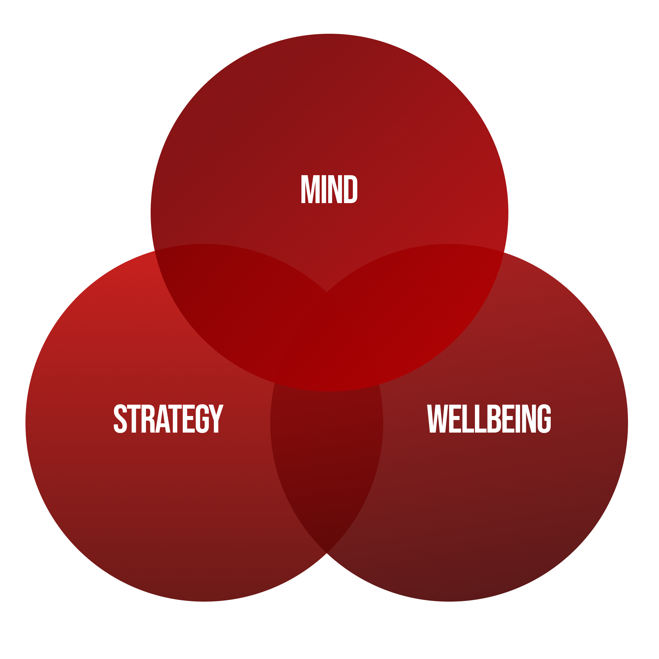 Three overlapping red circles labeled Mind, Strategy, and Wellbeing in a Venn diagram layout.