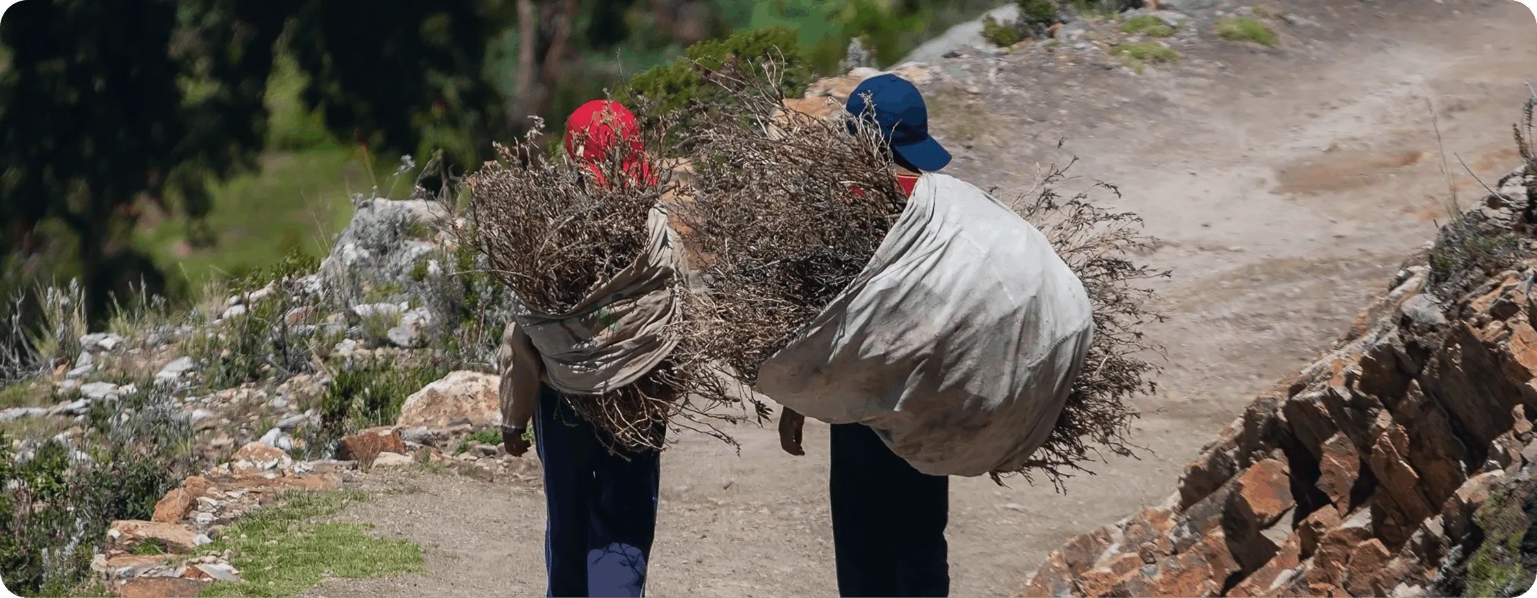 Two people carrying white sacks on their back while walking through a littered, debris-filled rural area