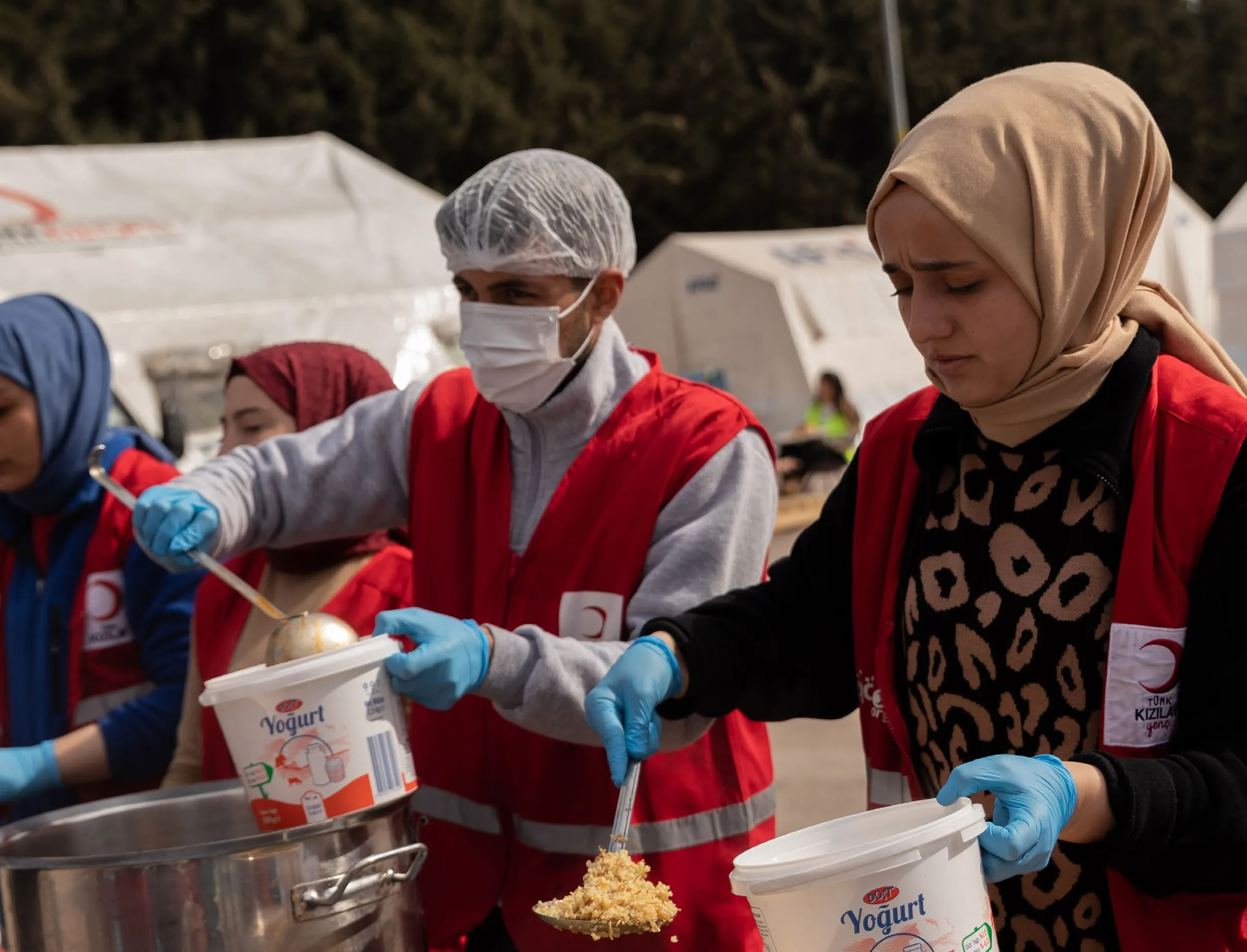 Towards Transformation: Progressing Partnerships within the DEC