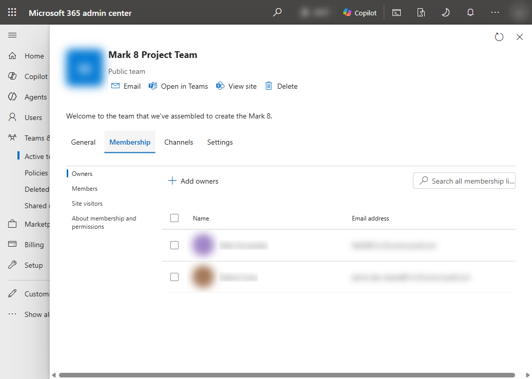 The Membership tab of a group, with Owners selected and the Add owners button above the owner list