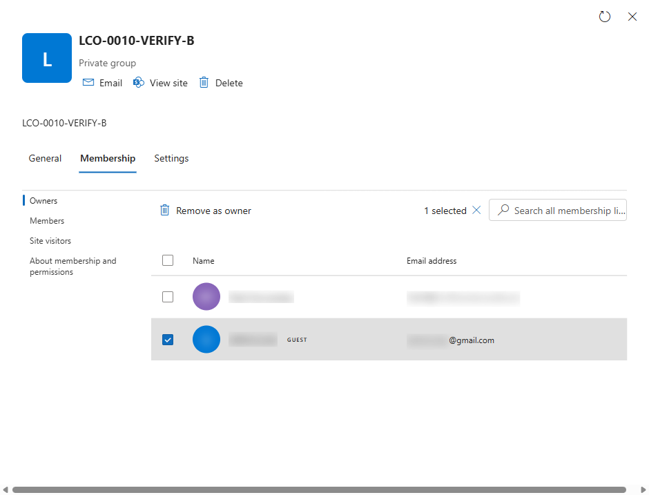 The Owners view with the guest owner selected and the Remove as owner command in the toolbar