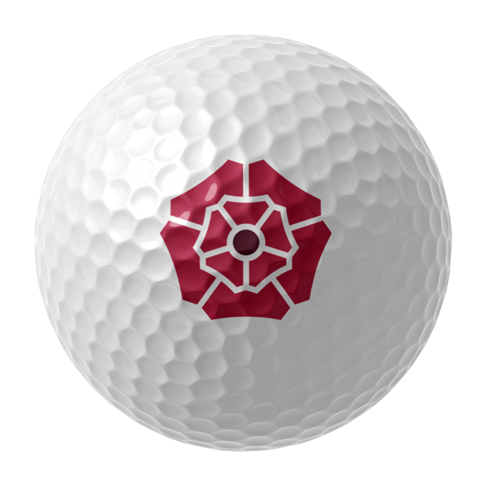 WGC Golf Ball