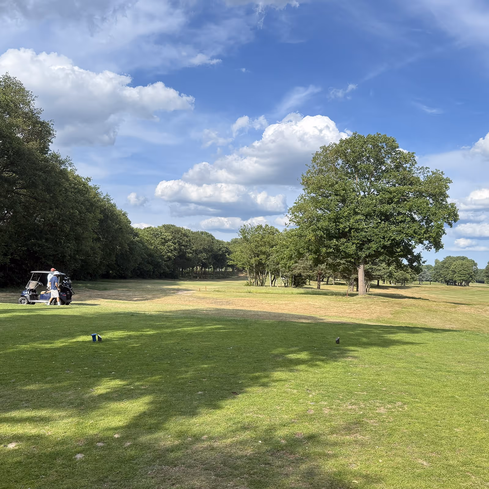 The Twelth at WGC London