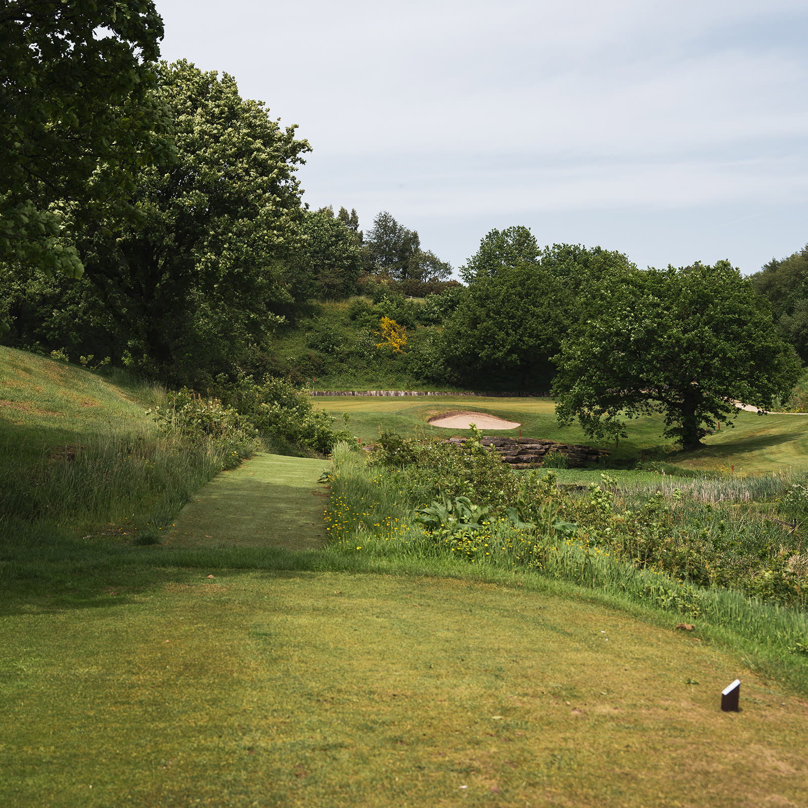 The First at WGC London