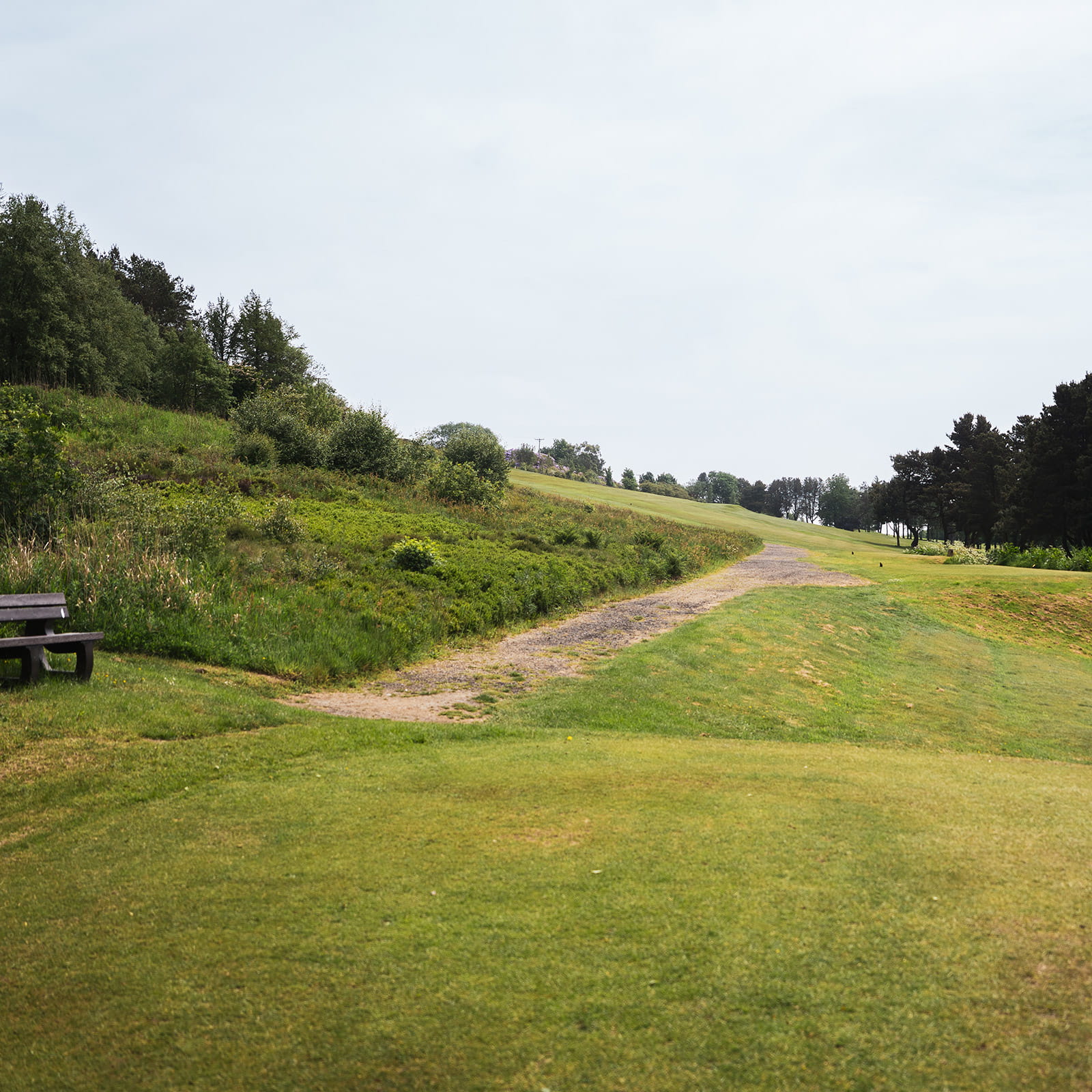 The Twelth at WGC London
