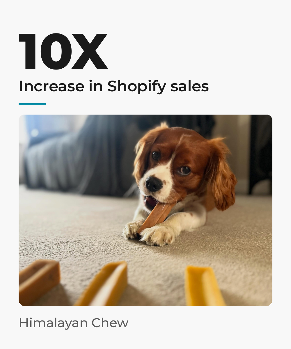 Himalayan Chew case study card: 10X increase in Shopify sales