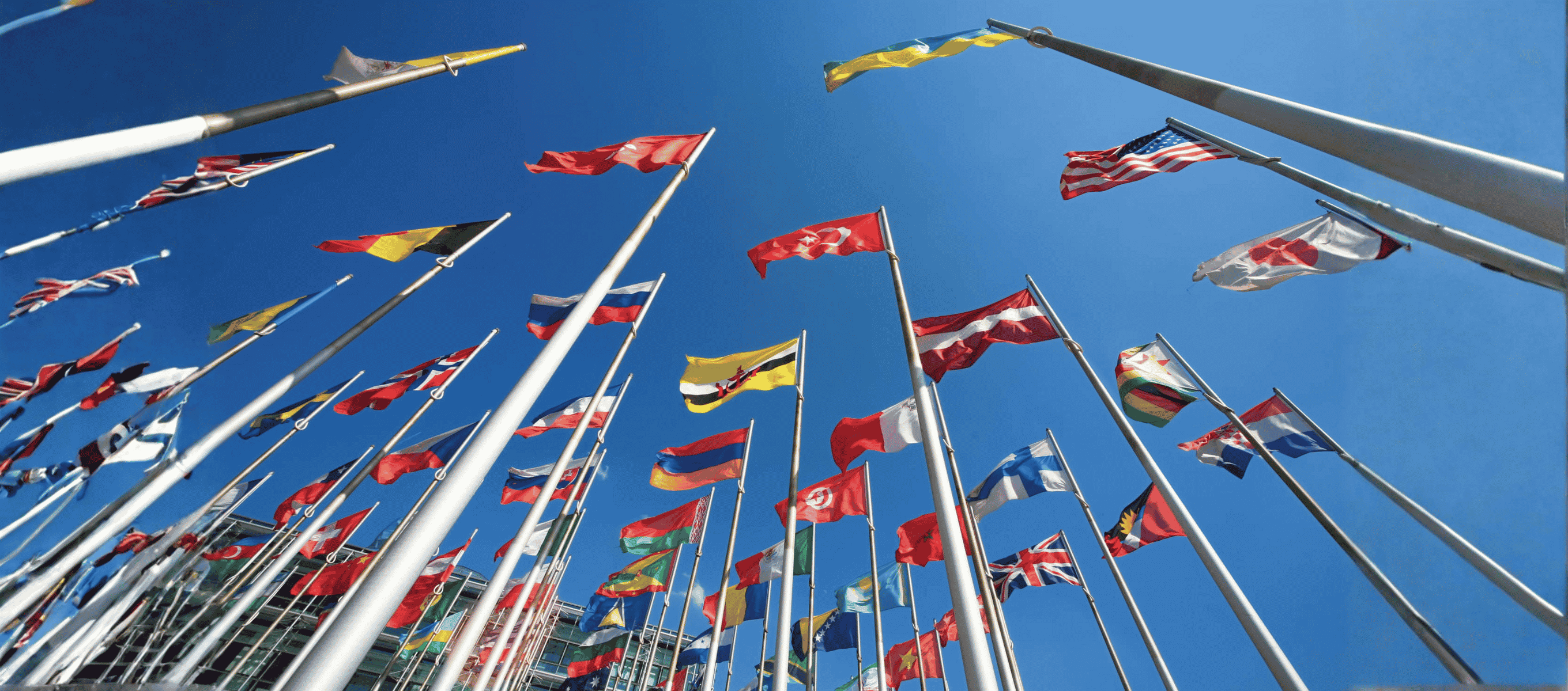 Public Procurement & Government Transactions