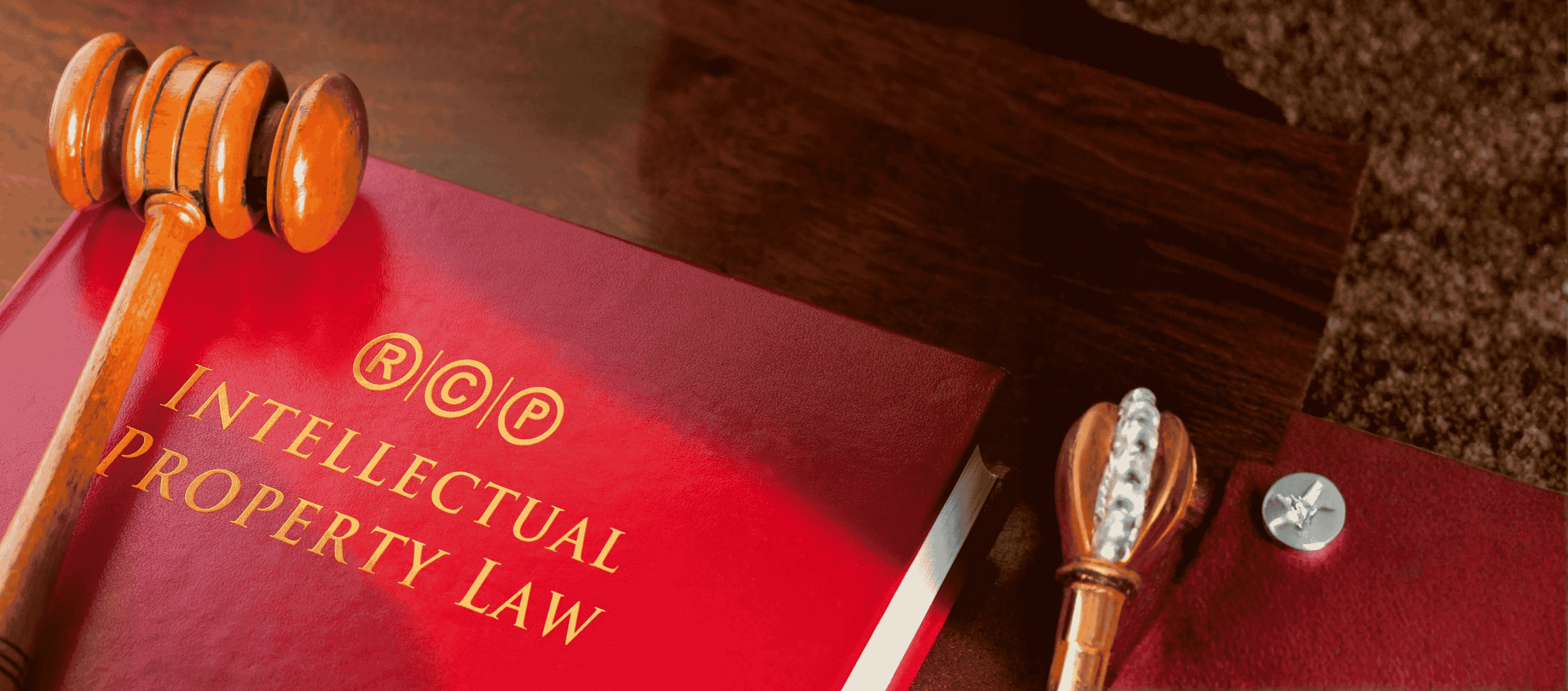 Public Procurement & Government Transactions