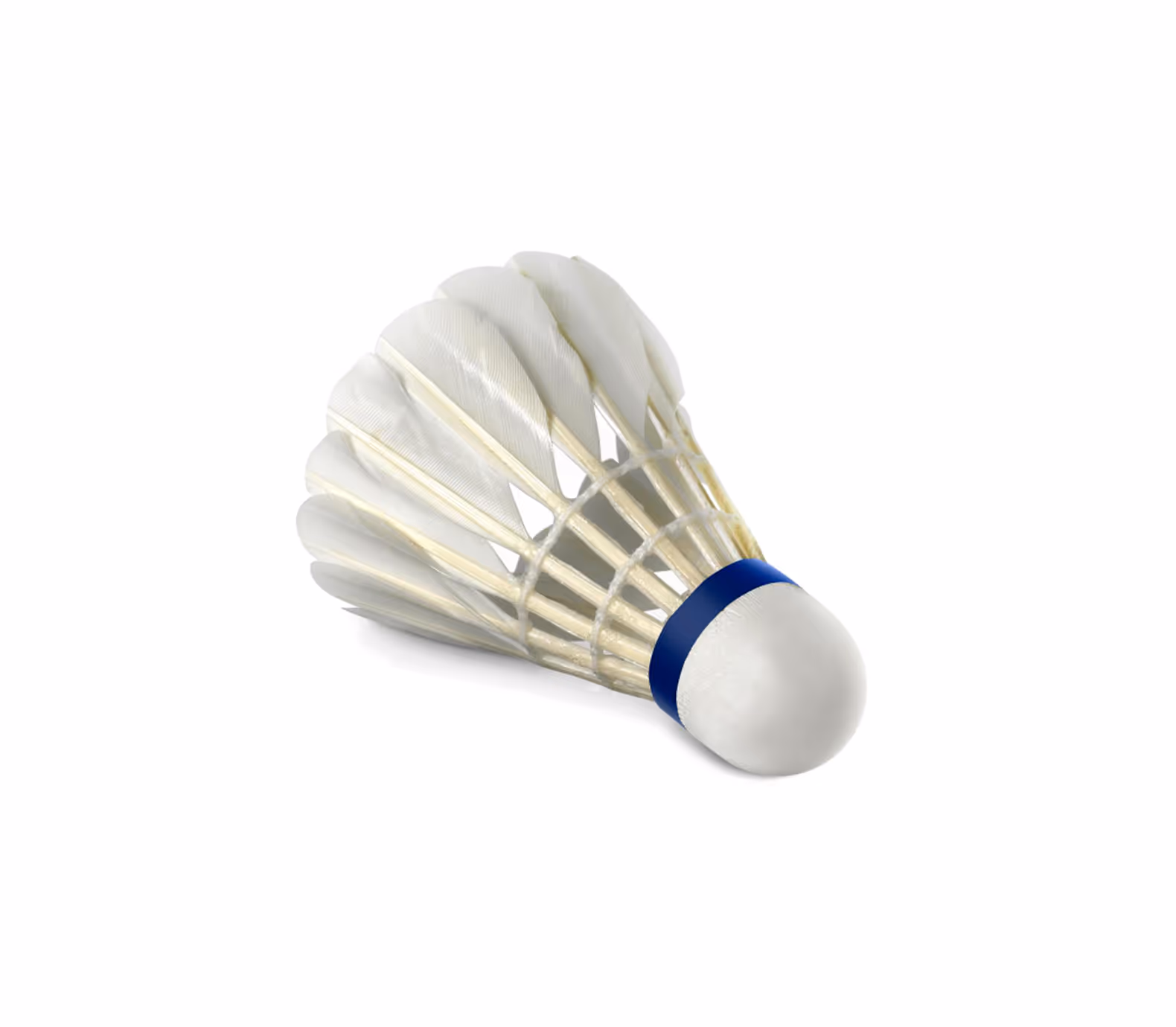 Badminton Shuttlecock