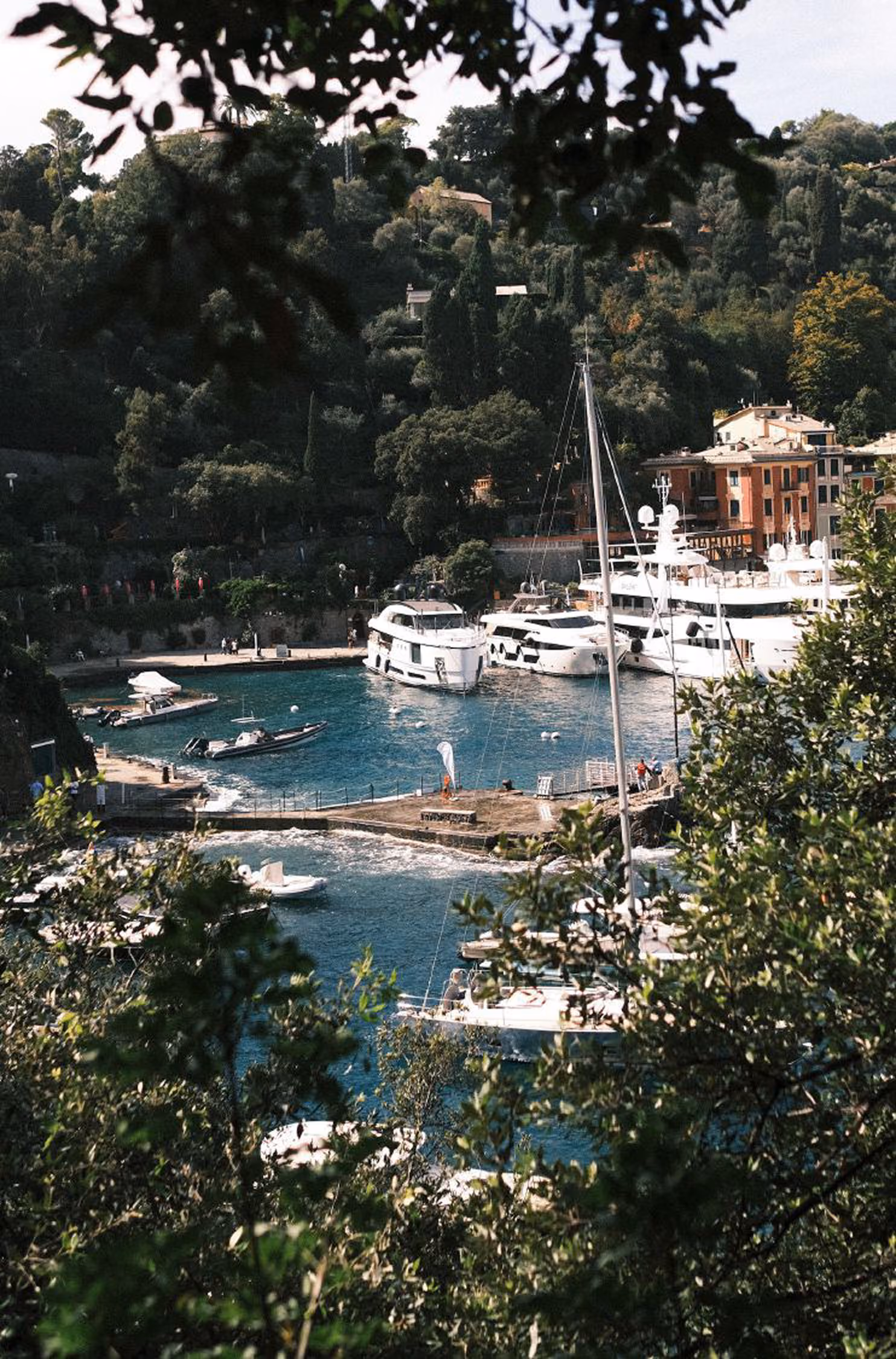 Hafen mit Segel- und Motorbooten vor bewaldeten Hügeln und Gebäuden, von Blättern umrahmt.