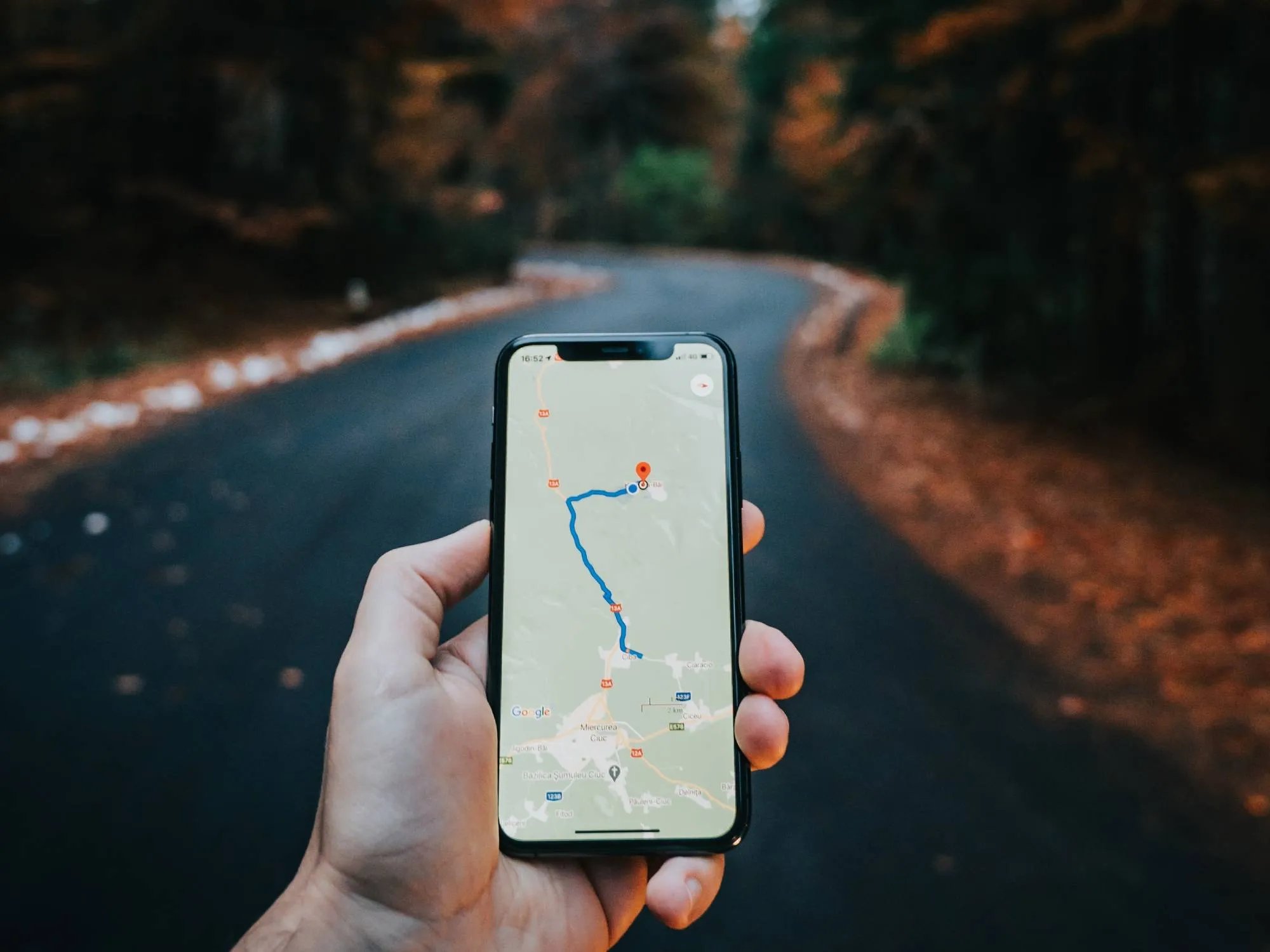 Hand holding smartphone displaying a map with a blue route on a forest road background.