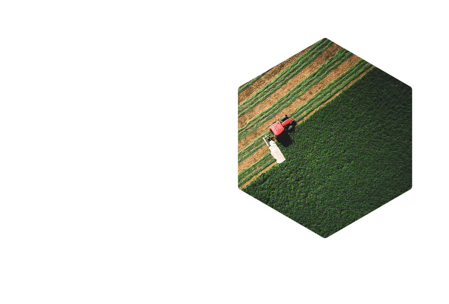 A red tractor harvesting green crops in a field with alternating cut and uncut strips, viewed from above.