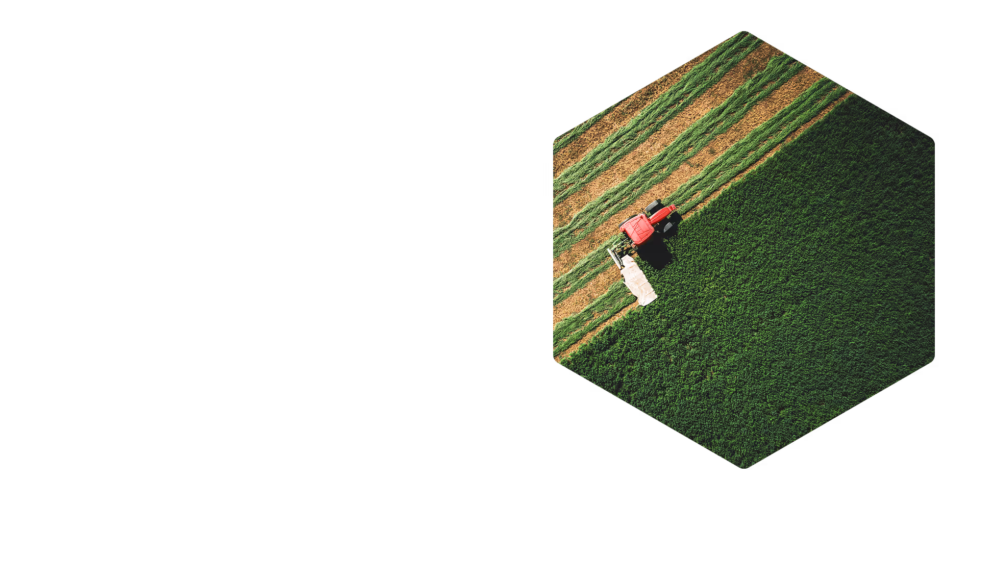 A red tractor harvesting green crops in a field with alternating cut and uncut strips, viewed from above.