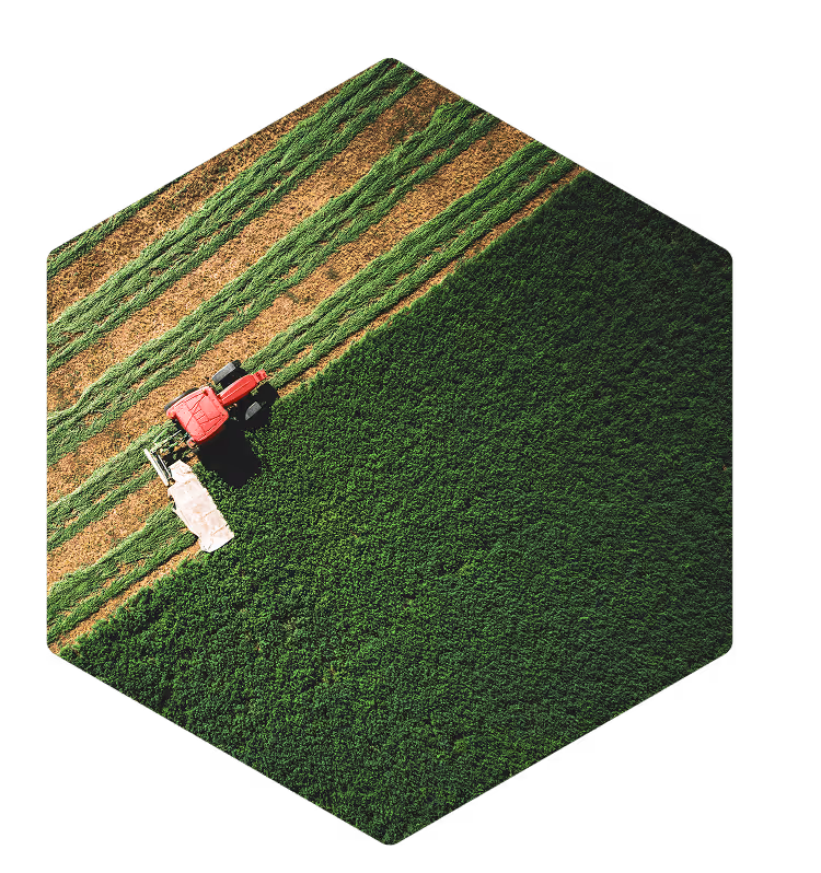 A red tractor harvesting green crops in a field with alternating cut and uncut strips, viewed from above.