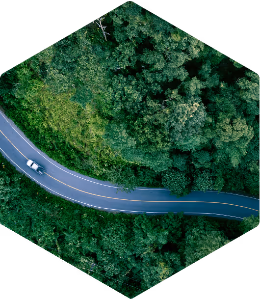 Aerial view of a car driving on a curved road surrounded by dense green forest.