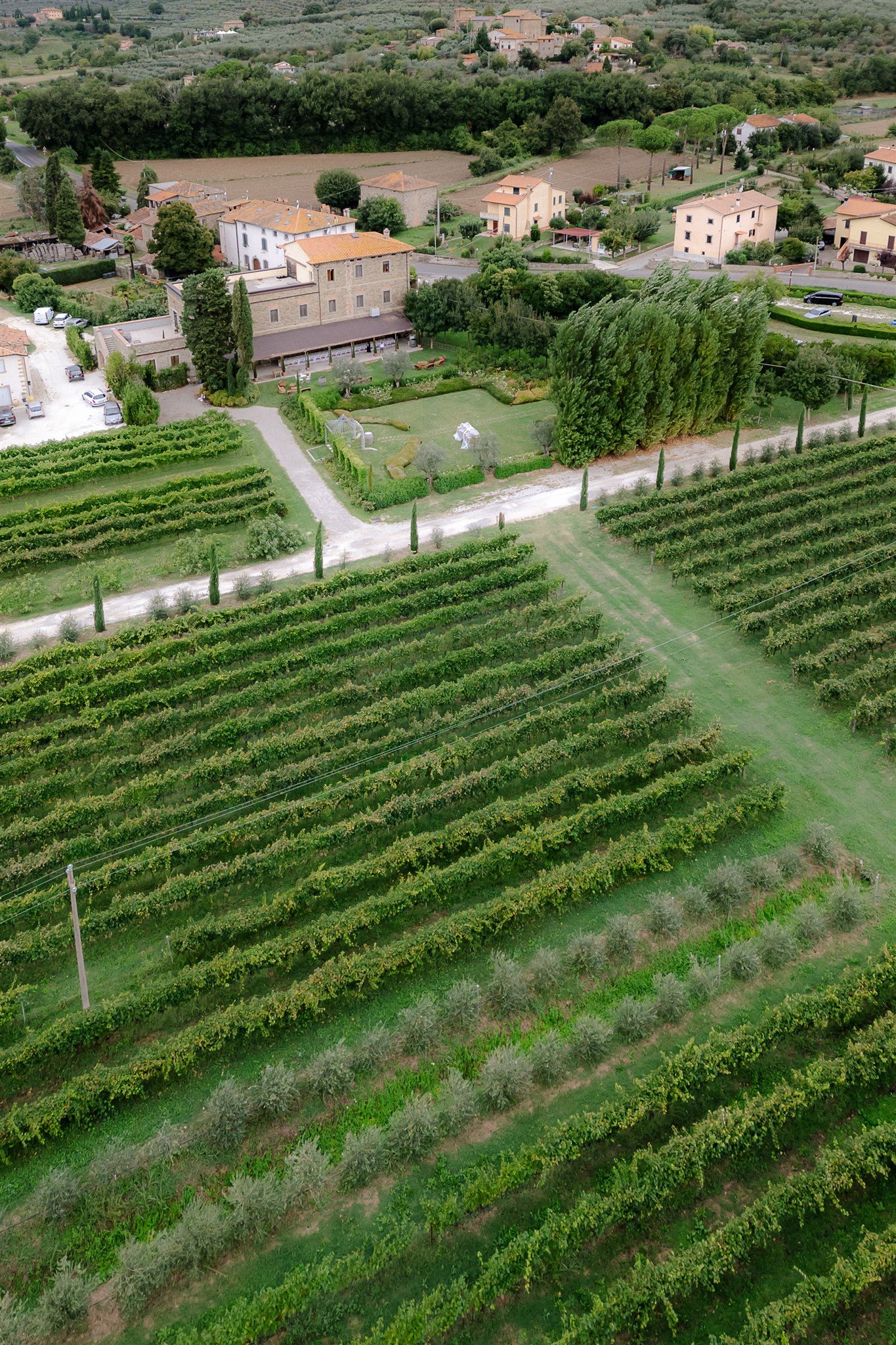 Aerial view of the Buccelletti wine estate and vineyards in the Val di Chio, Tuscany