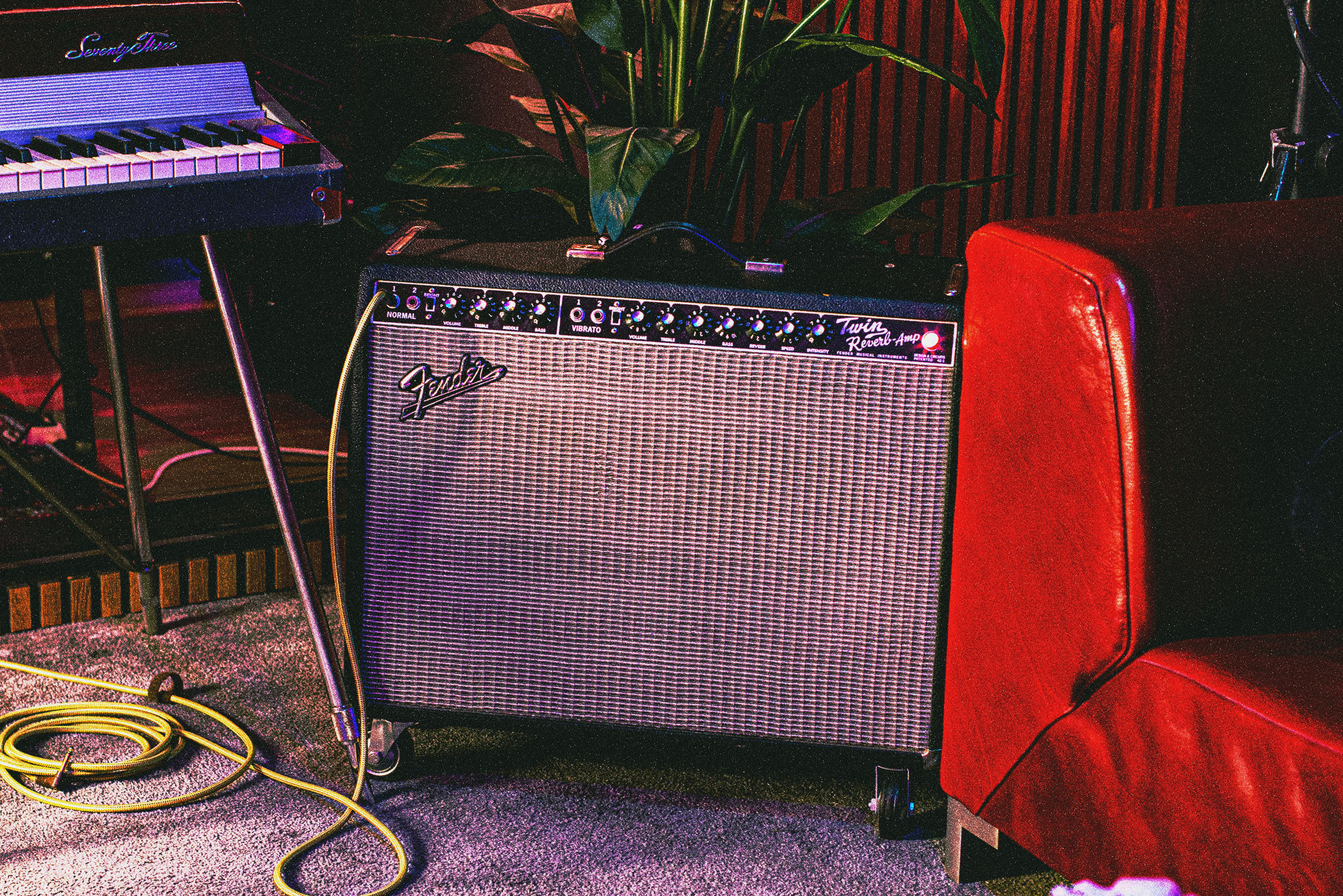 Fender Twin Reverb (Silverface & Blackface)