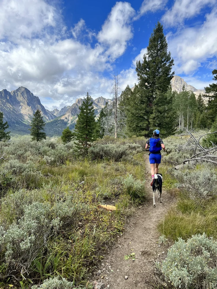 Person running with a dog on a dirt trail surrounded by green shrubs and tall pine trees with mountains and a blue cloudy sky in the background.