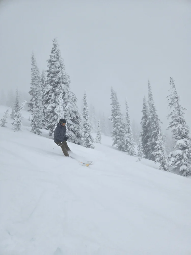 Person skiing down a snow-covered slope surrounded by snow-laden evergreen trees in foggy weather.