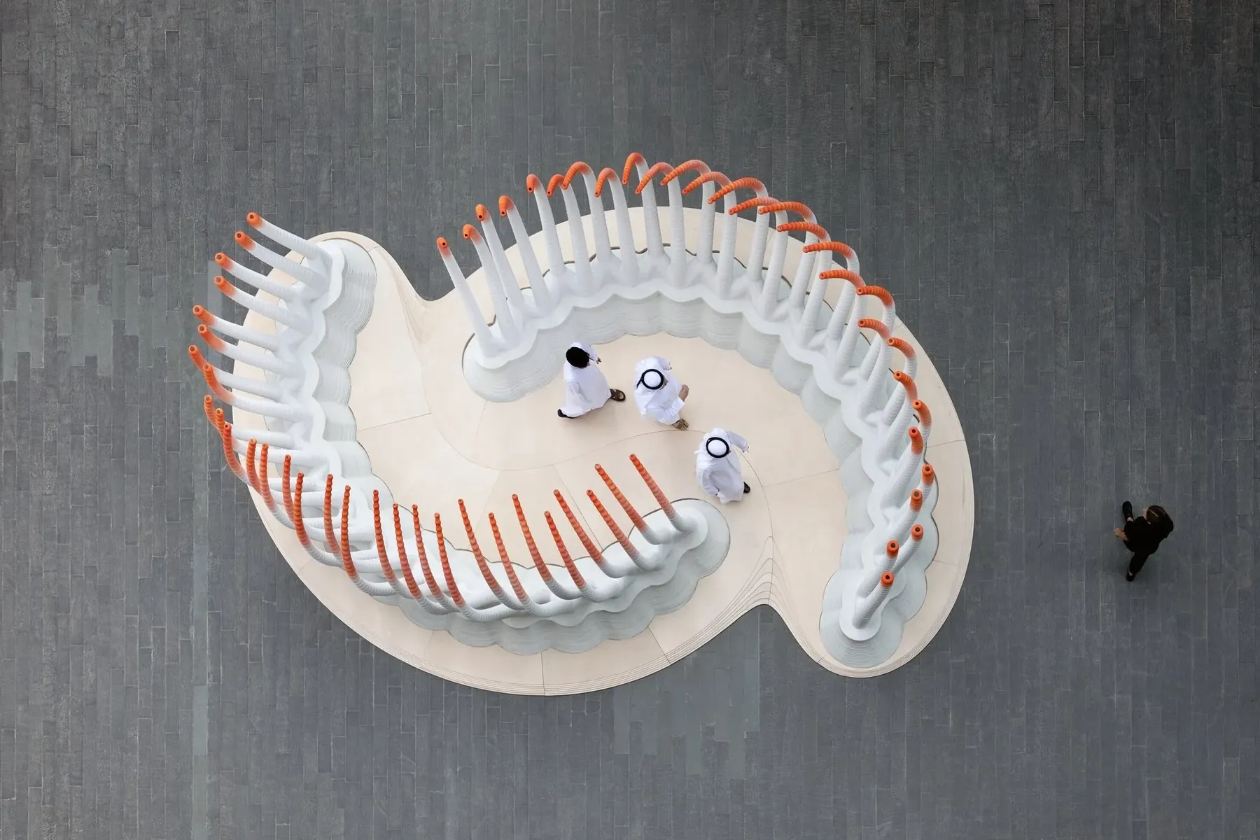 The Deciduous pavilion seen from above: a curved walkway between two scalloped white benches with printed ribs, and three visitors.
