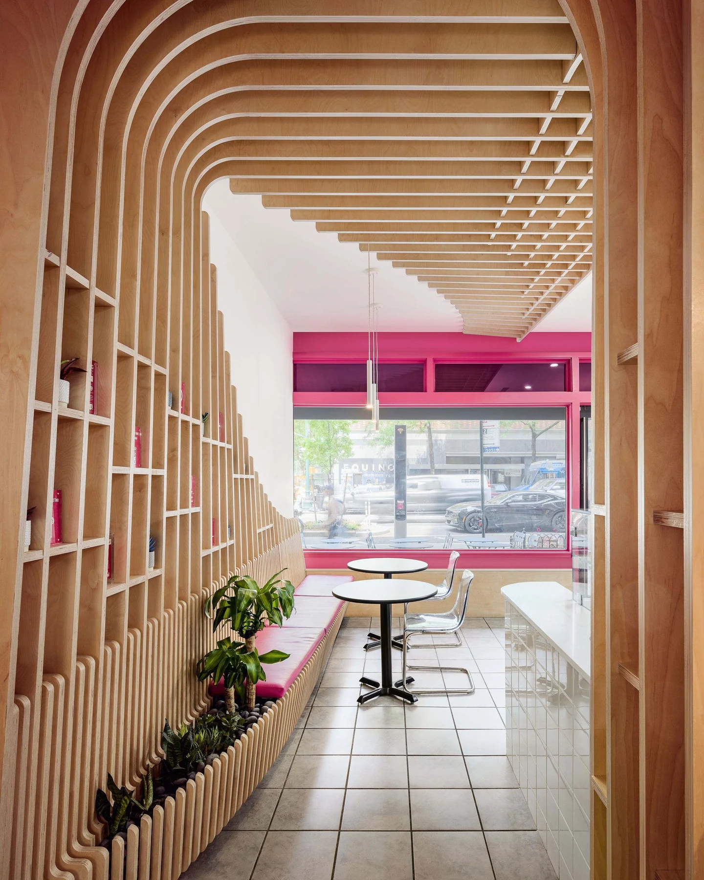 The Migrant Kitchen at 157 Columbus Avenue, looking down the room to the street window: birch plywood ribs arch overhead and step down the left wall with shelves between them, and plants grow from a planter at their foot.