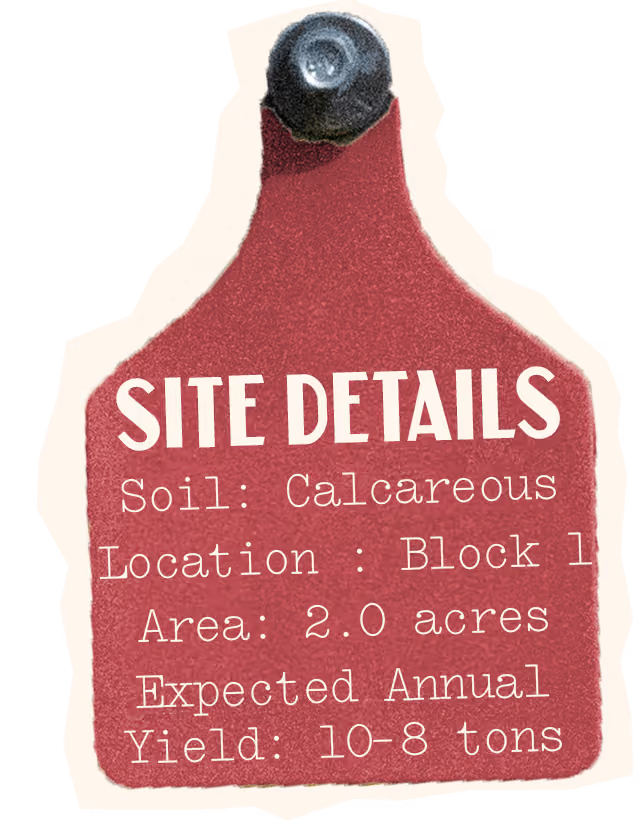 Merlot Site Details, Soil: Calcareous, Location: Block 1, Area: 2.0 acres, Annual Yield: 8-10 tons