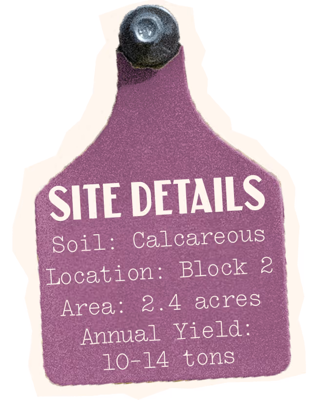 Malbec Site Details, Soil: Calcareous, Location: Block 2, Area: 2.4 acres, Annual Yield: 10-14 tons