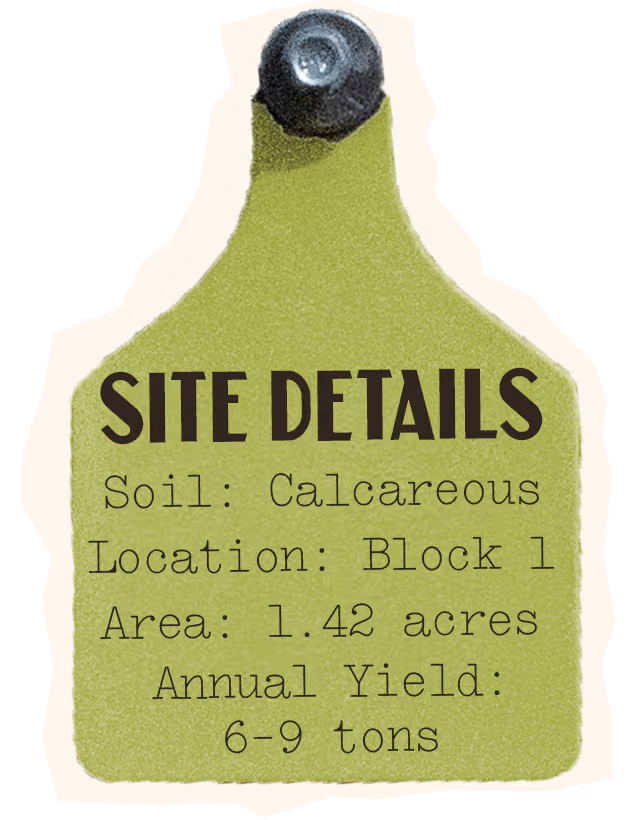 Albarino Site Details, Soil: Calcareous, Location: Block 1, Area: 1.42 acres, Annual Yield: 6-9 tons