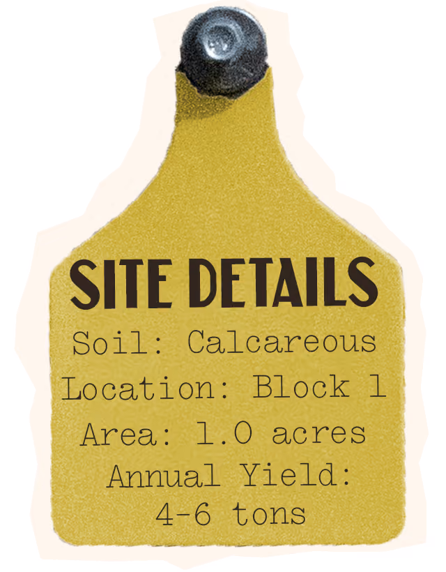Semillon Site Details, Soil: Calcareous, Location: Block 1, Area: 1.0 acres, Annual Yield: 4-6 tons
