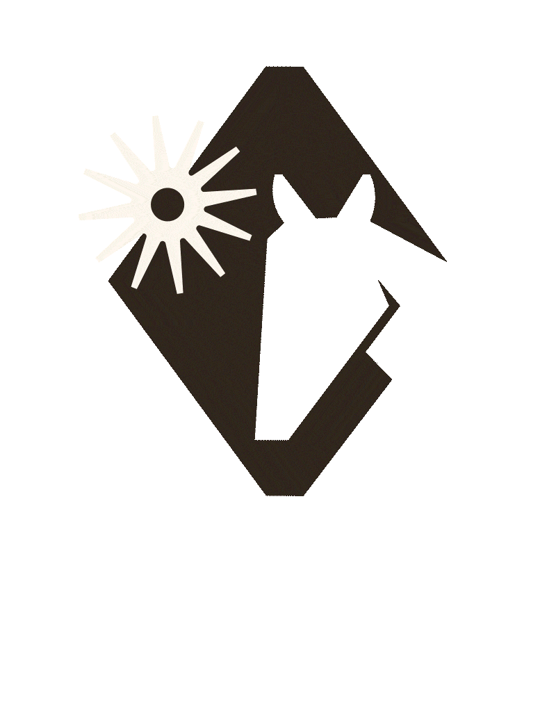 Animated white sun with rays rotating beside a dark stylized horse head silhouette on black background.