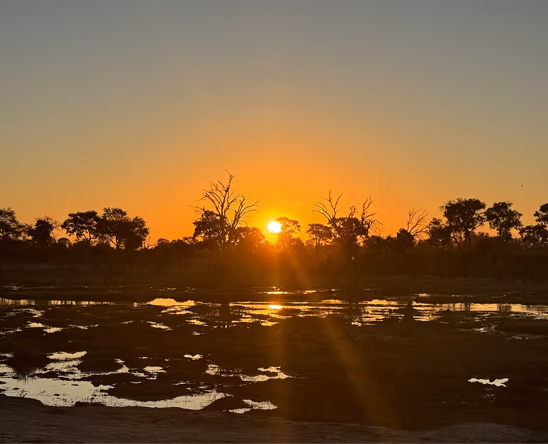 Zonsondergang boven het water en silhouetten van bomen in het Okavango-delta landschap.