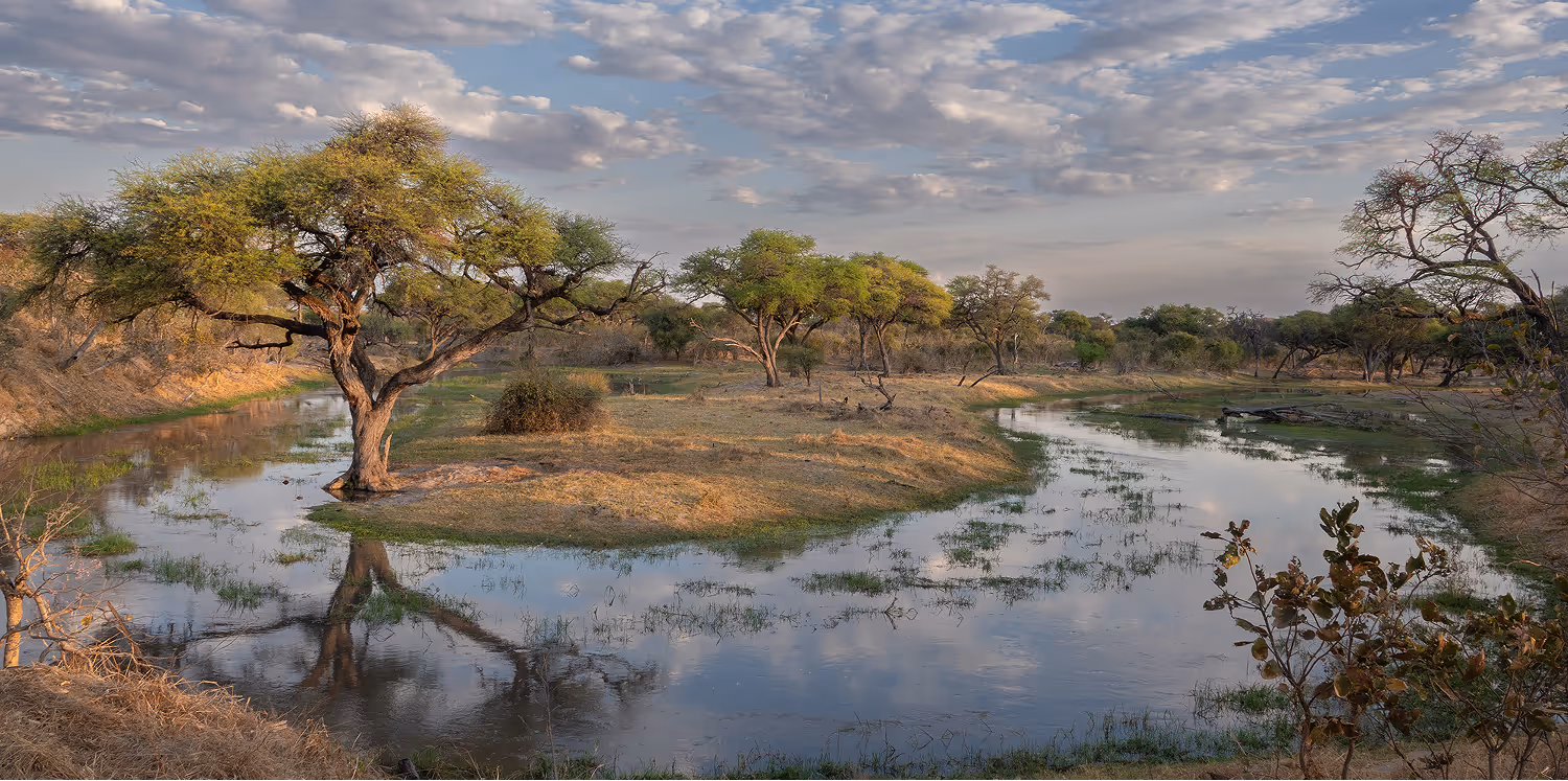 Rivier in het moeraslandschap van de Okavango-delta met bomen en reflecties in het water onder een partly bewolkte lucht.