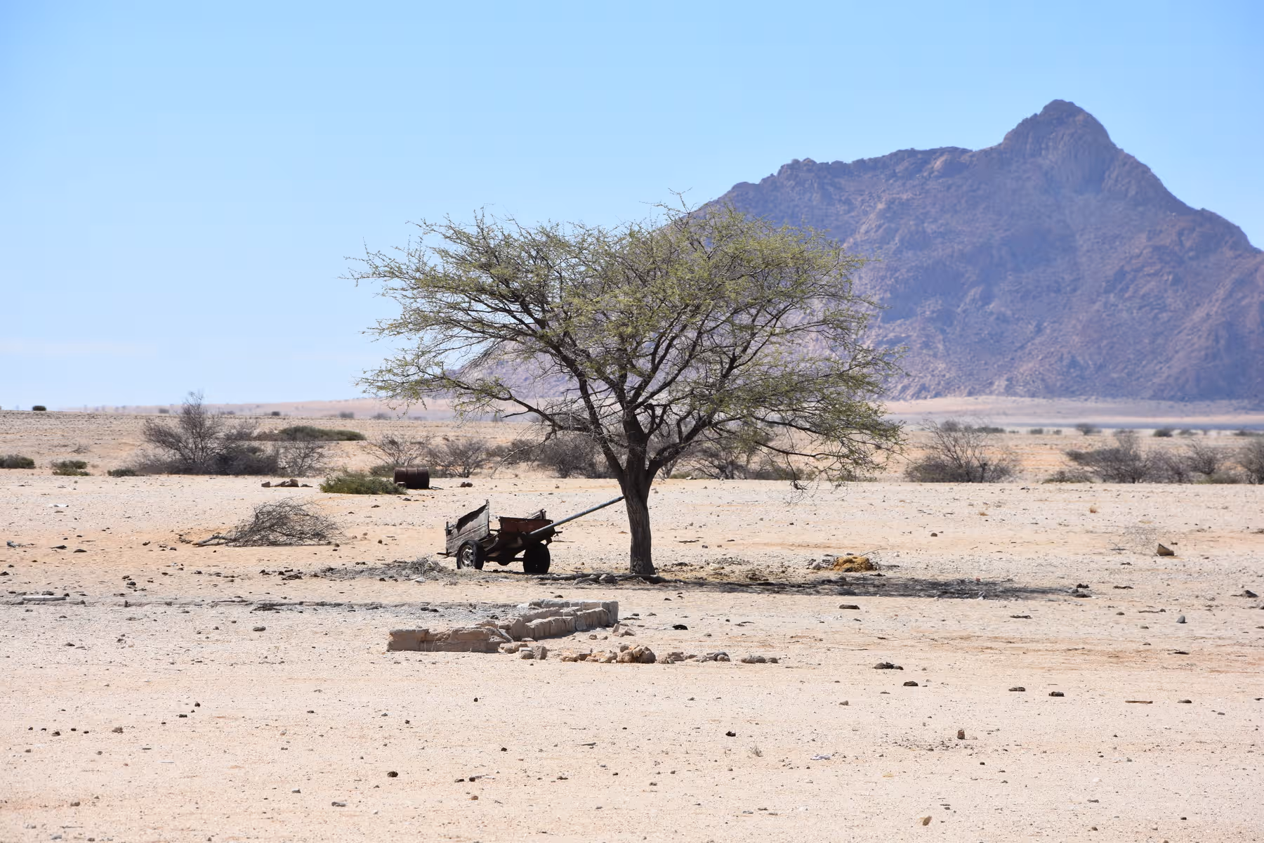 Een eenzame boom in een dor landschap met een oude kruiwagen ernaast en een berg op de achtergrond.