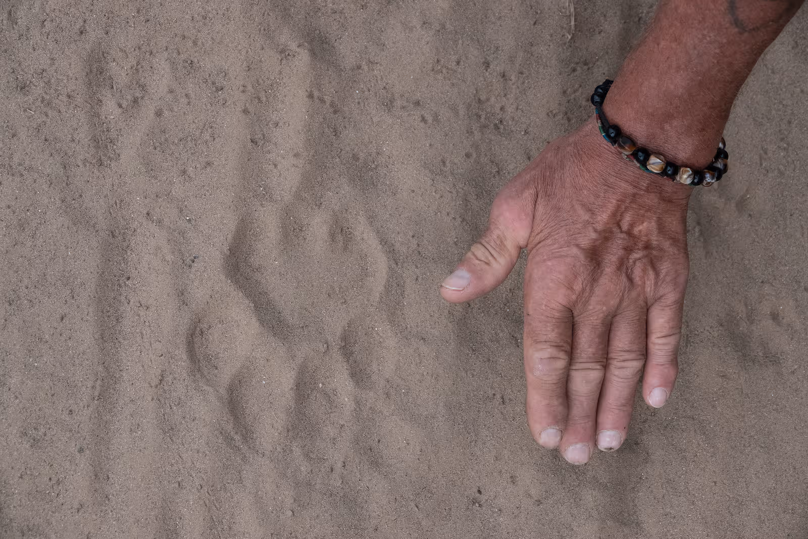 Hand met een kralenarmband naast een grote, zware voetafdruk in het zand.