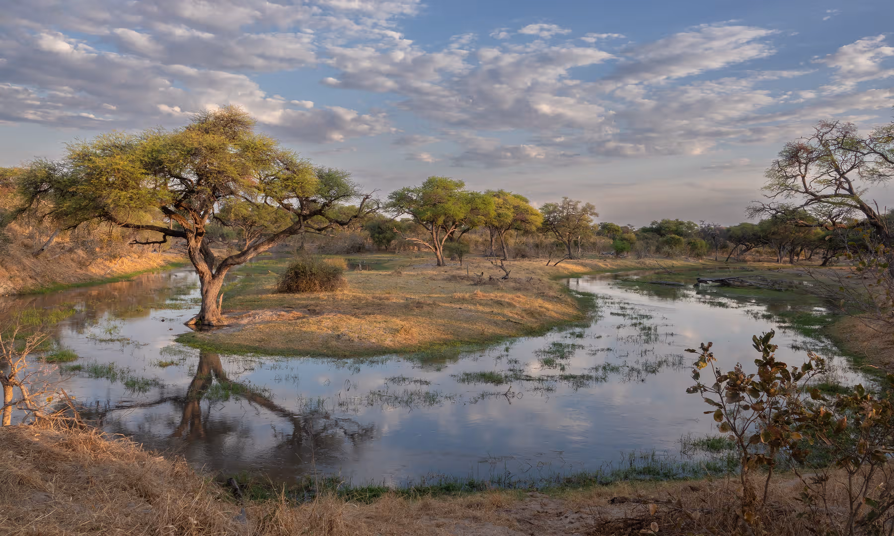 Afrikaanse rivier met spiegelende bomen in een savannelandschap onder een bewolkte hemel.