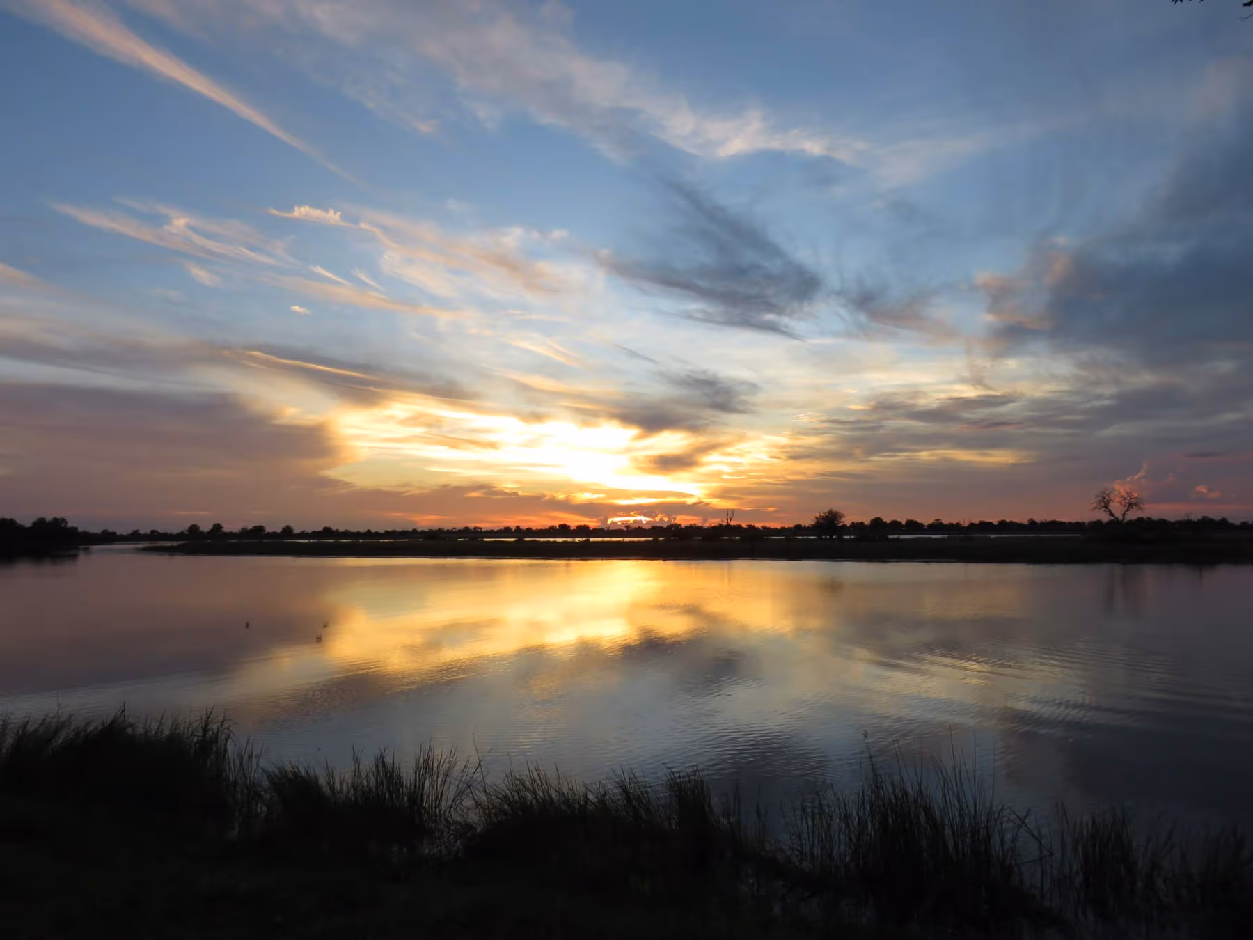 Zonsondergang boven een kalme rivier met gras in de voorgrond en bomen aan de horizon.