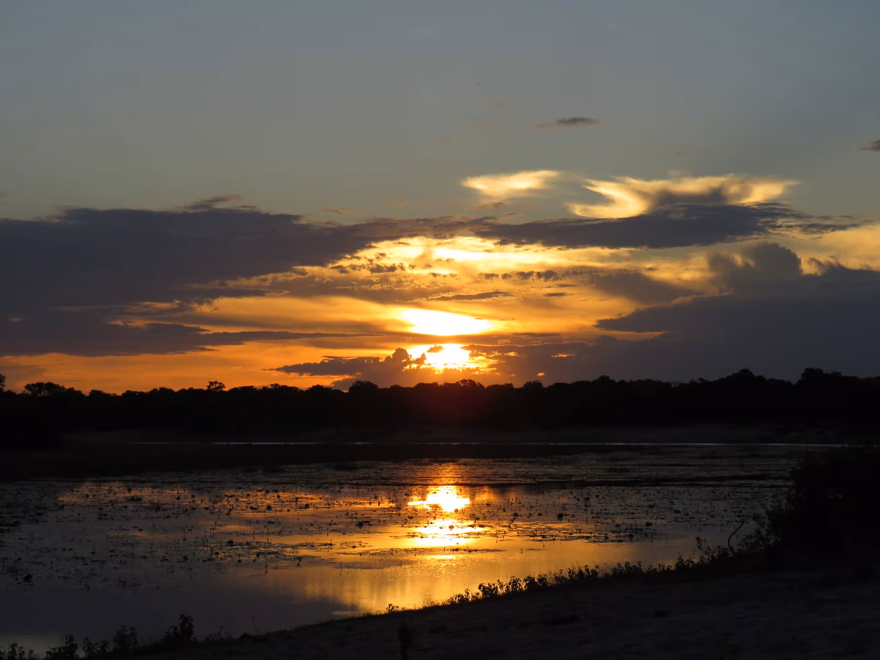 Zonsondergang met oranje licht weerspiegeld in een waterplas met donkere silhouetten van bomen aan de horizon.