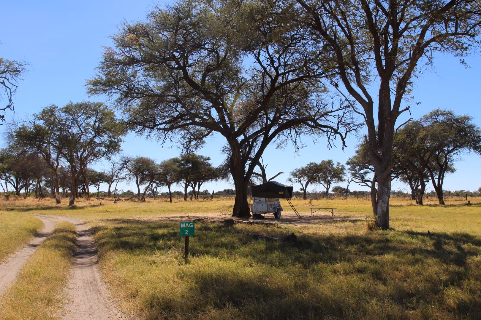 Kleine campingtent op aanhangwagen met een tafel ernaast, onder schaduw van een grote boom in een grasland met andere bomen rondom.