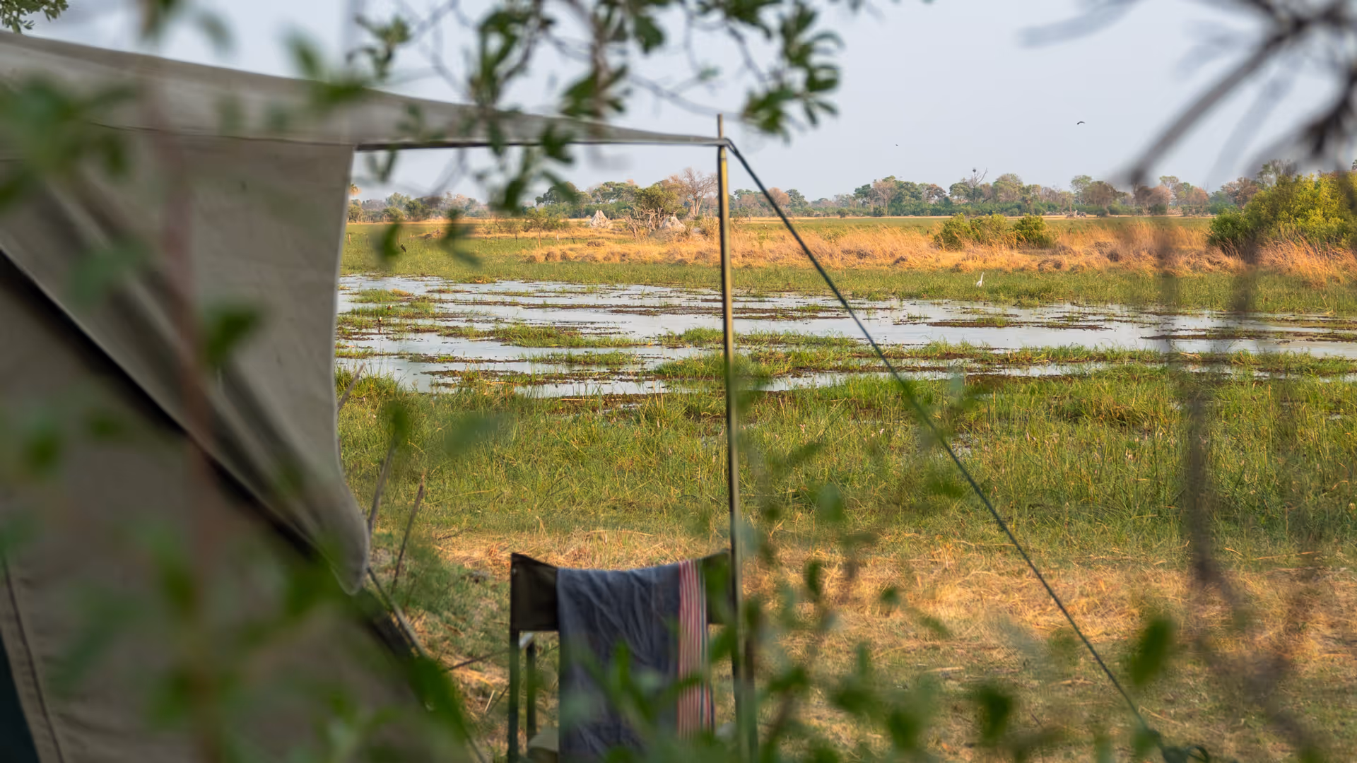 Uitzicht vanaf een tent op een graslandschap met een moerasje en bomen op de achtergrond.