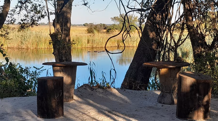 Natuurlijke zitplaatsen gemaakt van boomstammetjes en planken bij een rustige rivier met gras en bomen op de achtergrond.