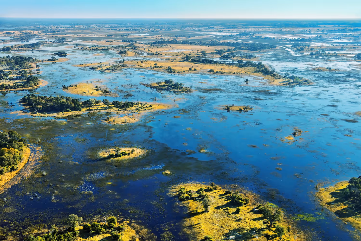 Luchtfoto van een uitgestrekt moerasgebied met blauw water en groene graslanden en bomen.