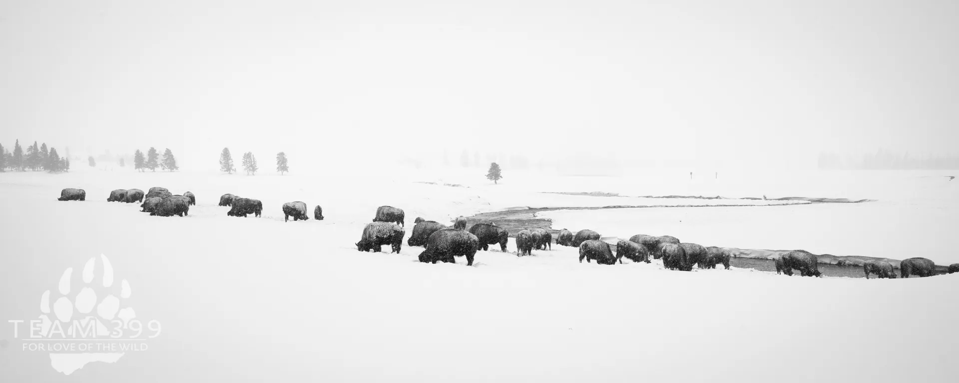 Yellowstone and Grand Teton Mid-Winter Celebration 2027